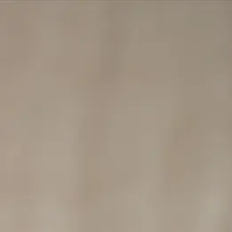 ExpertAtom8981의 江口拓也(旦那)