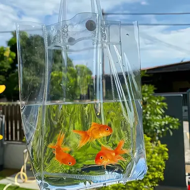 Profile image of 로보 프로스터