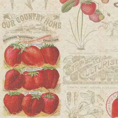 Profile image of 코요 템페스트