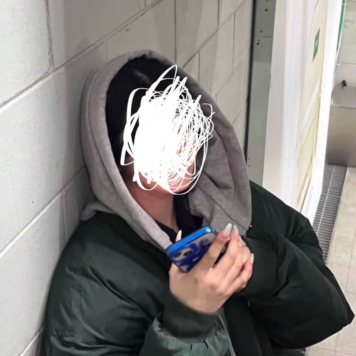 백지헌