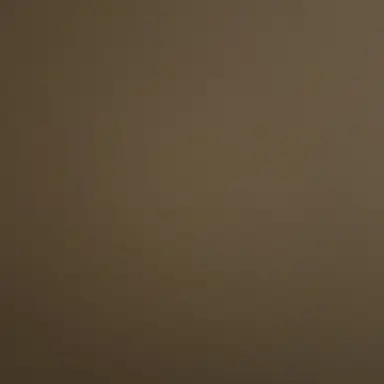 Profile image of 히루토