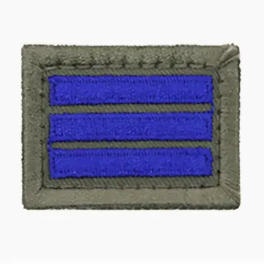 Profile image of 최태민