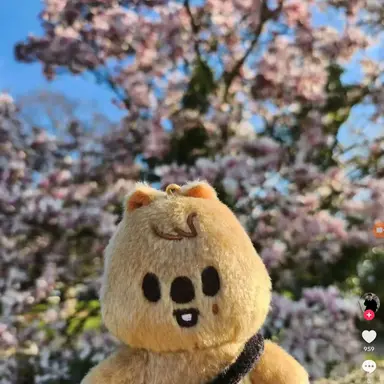 Profile image of 한지성