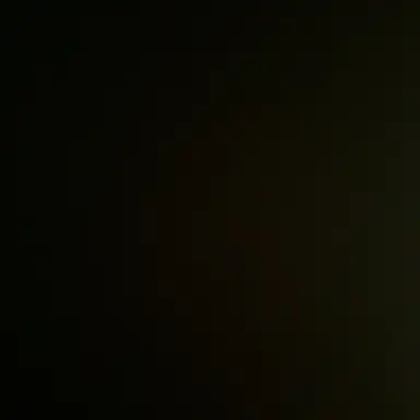 Profile image of 료미