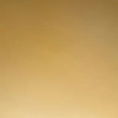 Profile image of 한동민