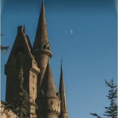 Profile image of 교수님들