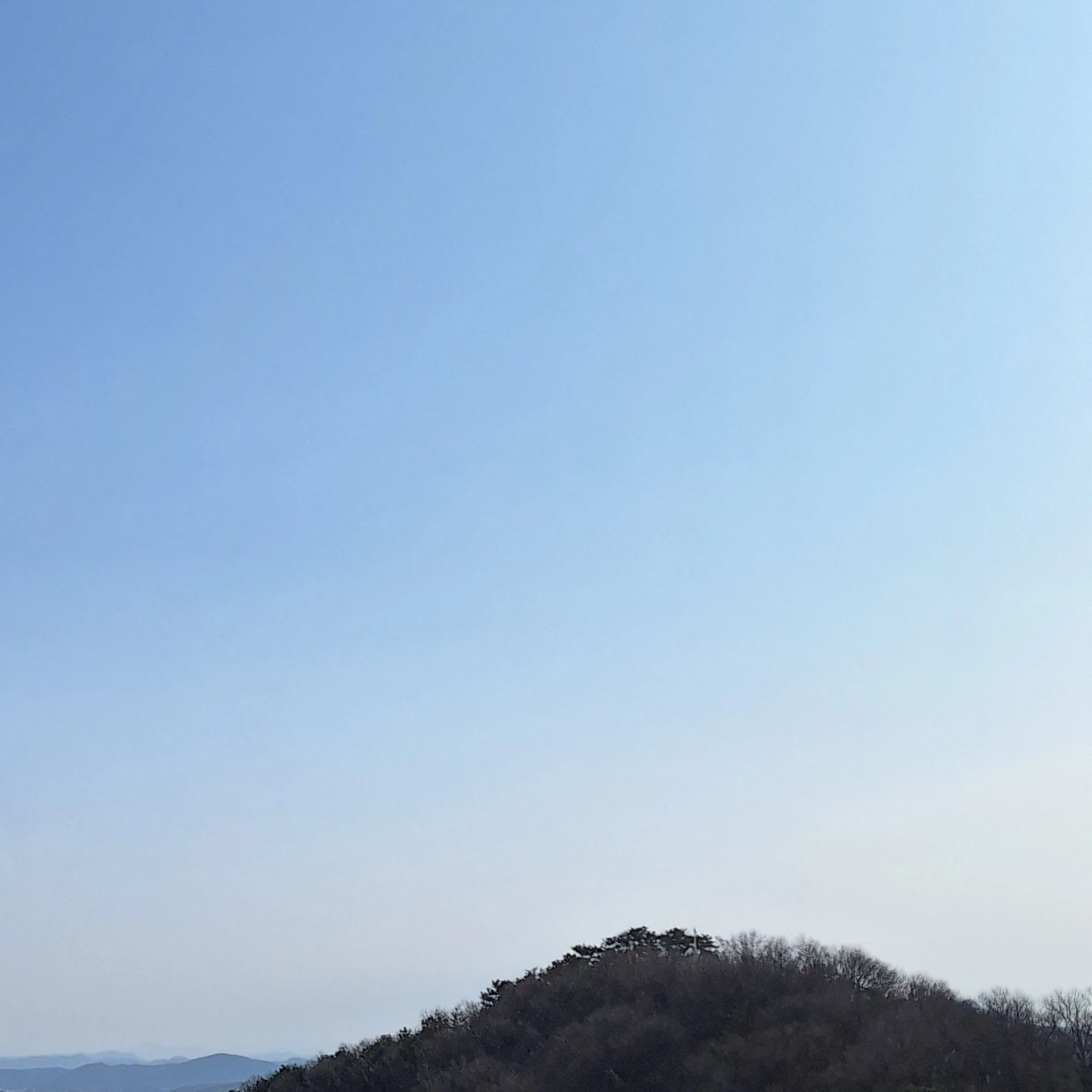 최효원