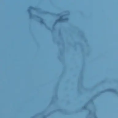 Profile image of 魅白黒 桜