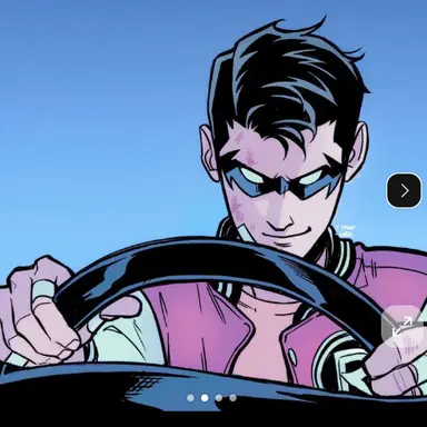 Profile image of Robin