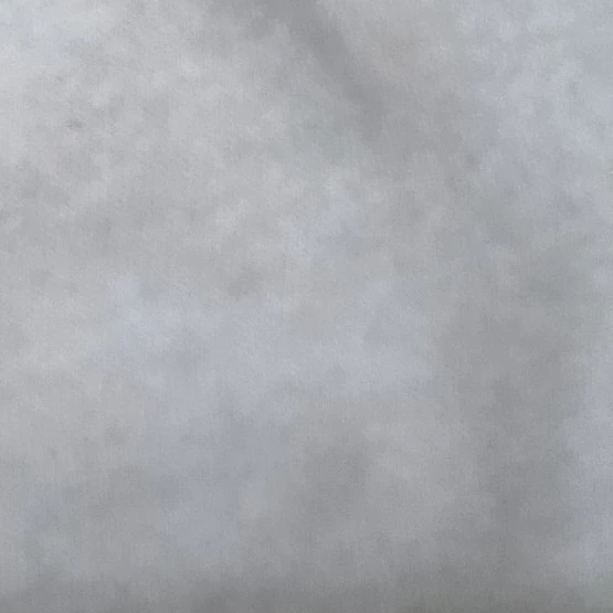 尾形
