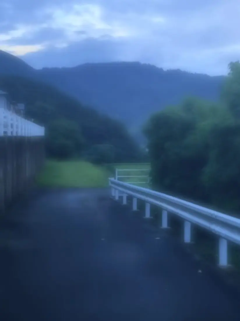 252541000의 愛が重い