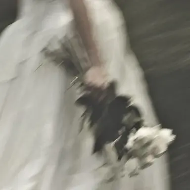 Profile image of セレナ