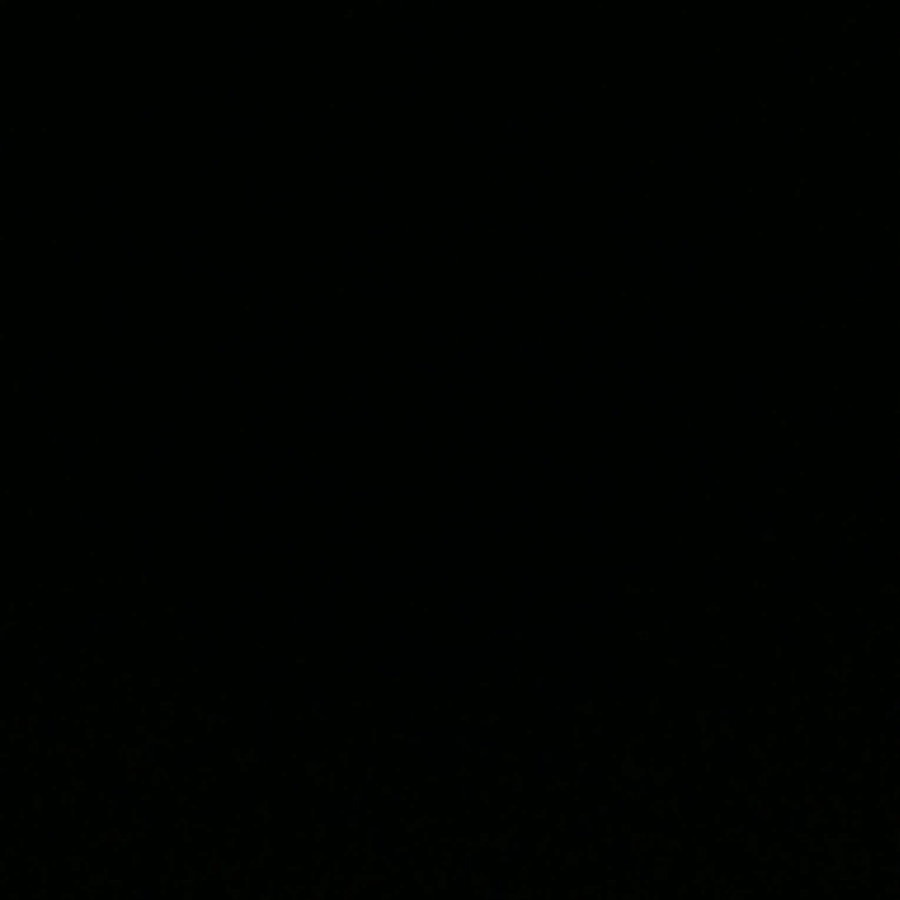 iii.의 백투더찬비