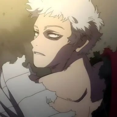 Profile image of AFO