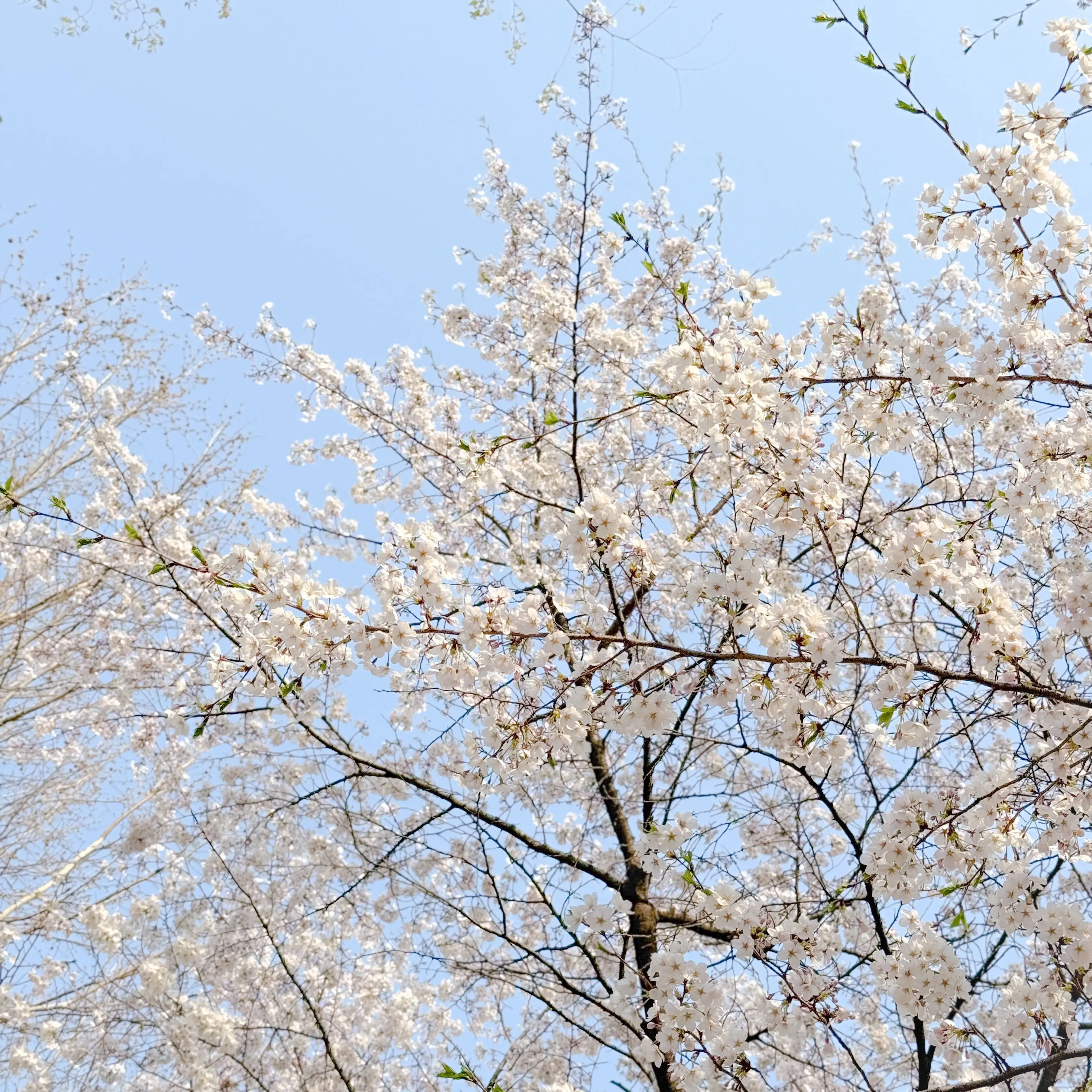 TidyWage4063의 ㄱ민희