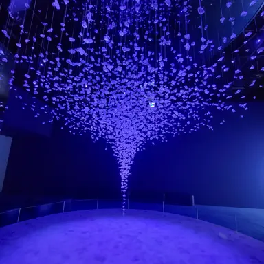 Profile image of 잠뜰