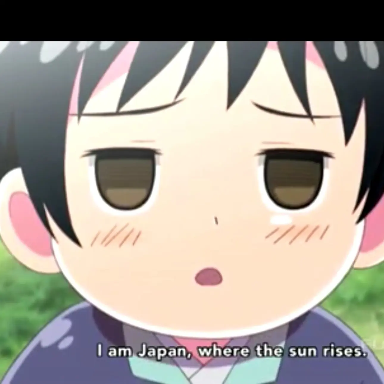 nihon_daisuki0211-0401의 Chibi Japan