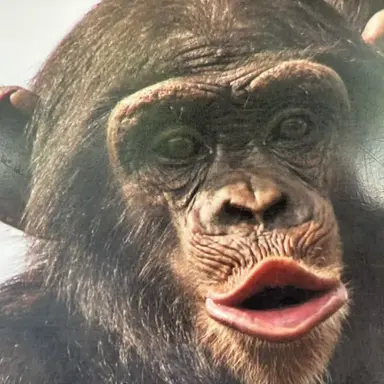 Profile image of William