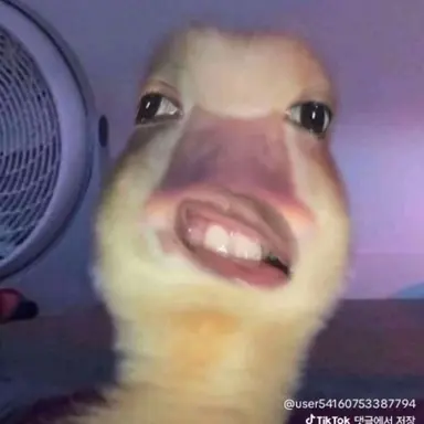 Profile image of 김여우