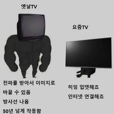 Profile image of 테나