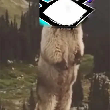 Profile image of Knight