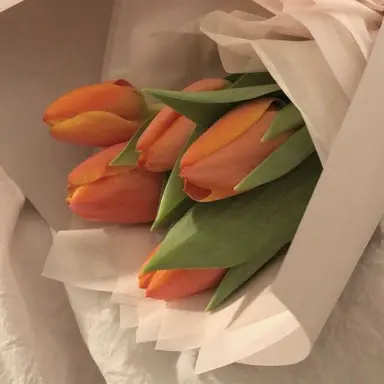 Profile image of 준브레드