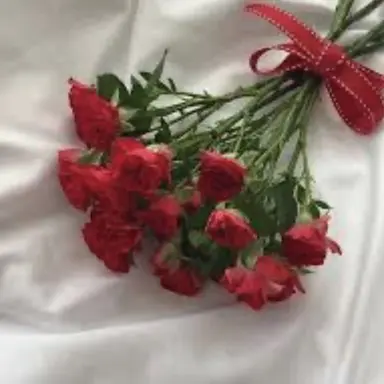 Profile image of 유기사