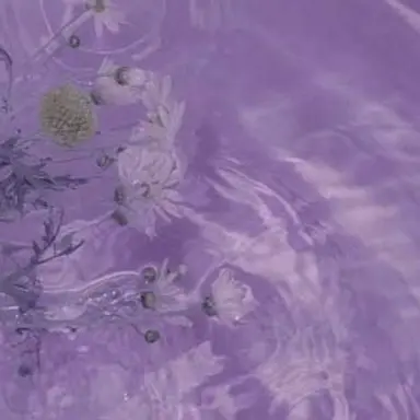 Profile image of 멜로우