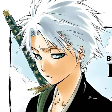 Profile image of 日番谷冬獅郎