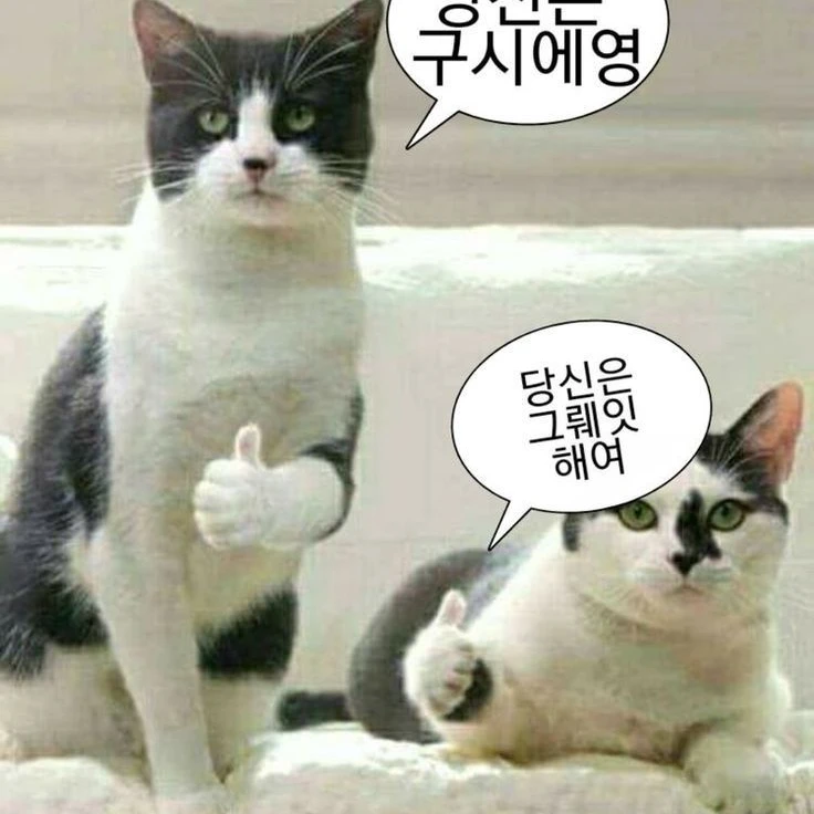 페블