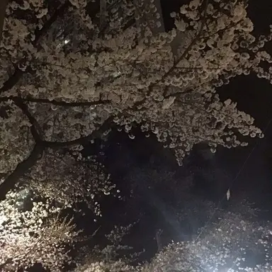 Profile image of 토키토 무이치로