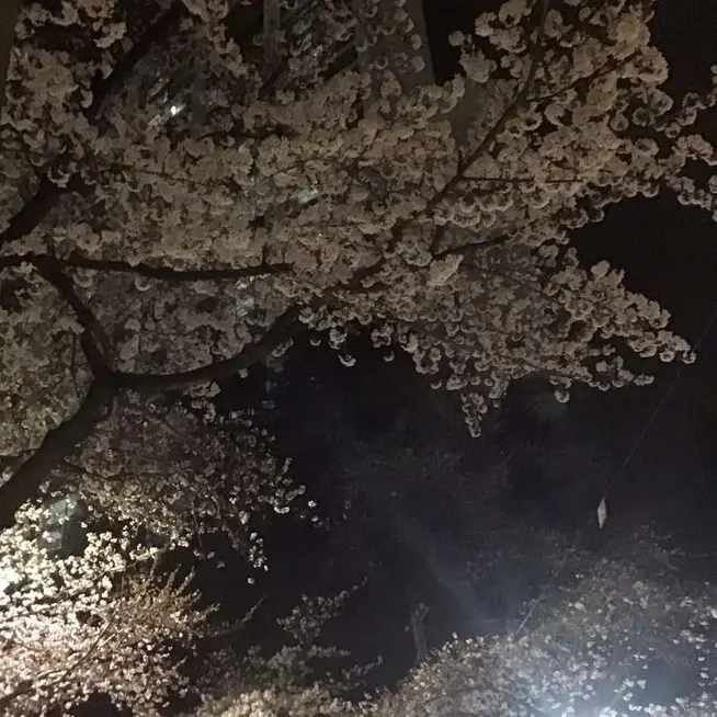 Leehana090215의 토키토 무이치로