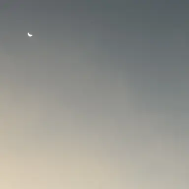 Profile image of 백지헌