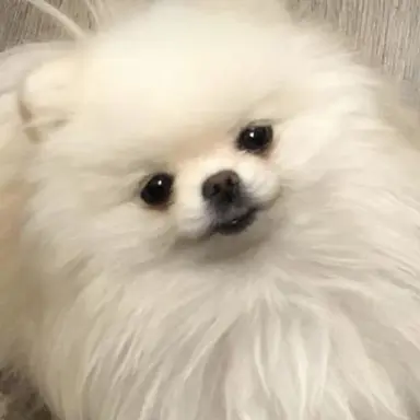 Profile image of りゅう