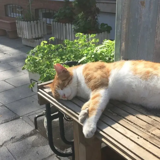 CockyAnger3369의 강해린