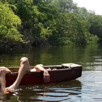 Profile image of 제인