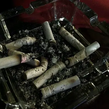 Profile image of 녹스