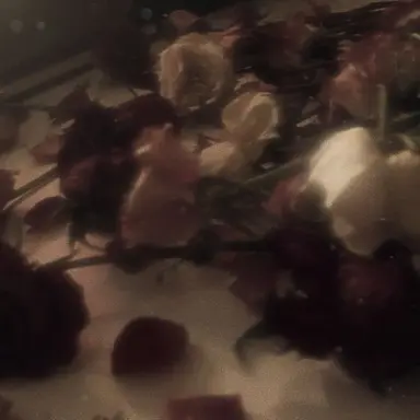 Profile image of 유지민