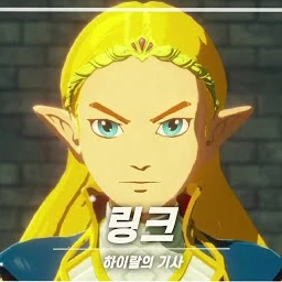 링크