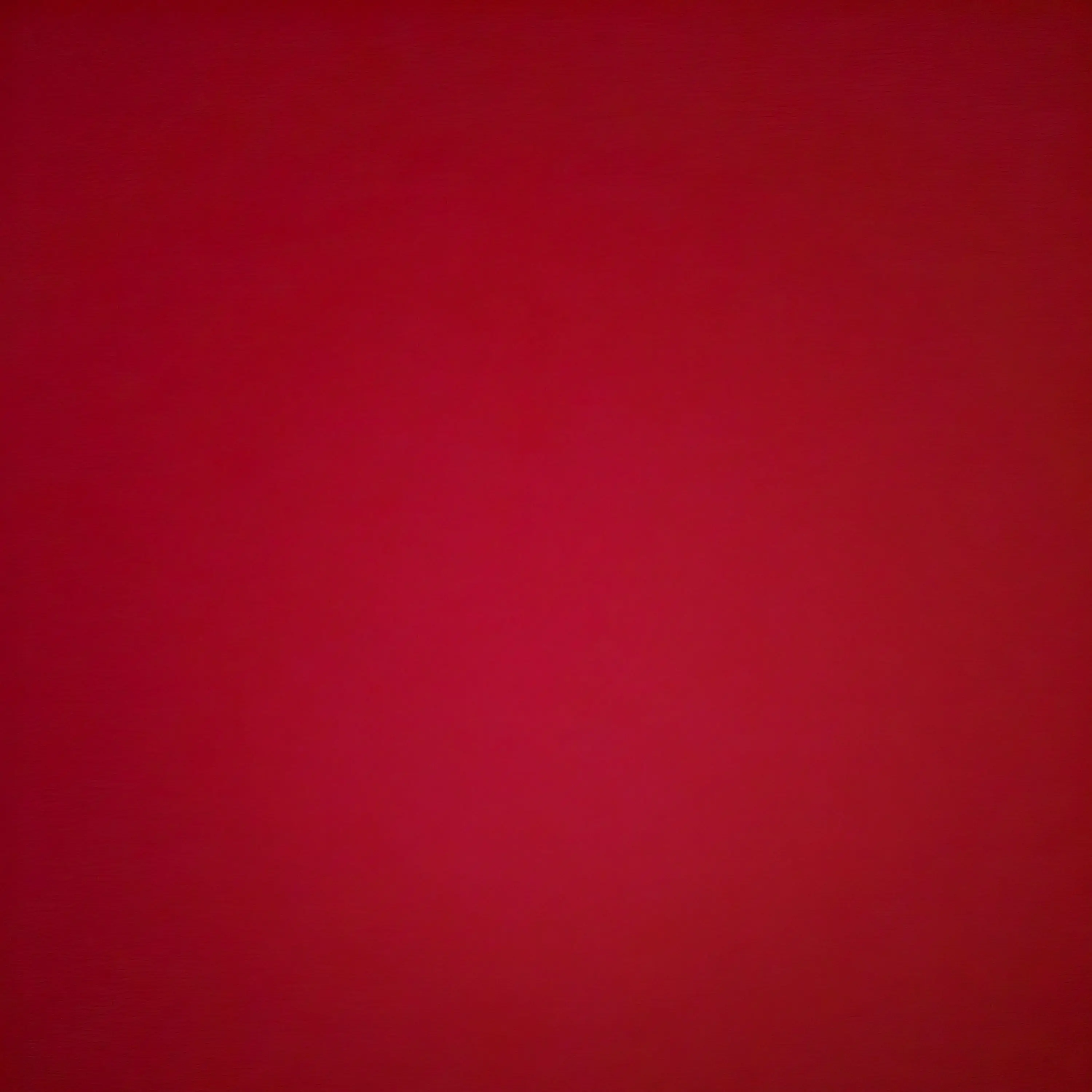 RigidCold0283의 의심하는 자림