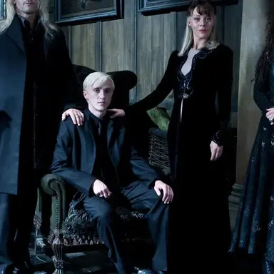 Profile image of The Malfoys