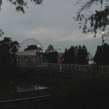 Profile image of 松村北斗