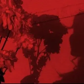 Profile image of 서라더