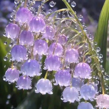 Profile image of 수현