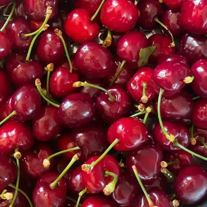 TimidStock0467의 잠뜰도장