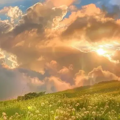 Profile image of 덕개