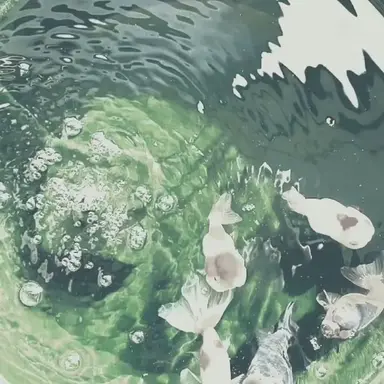 Profile image of 공룡