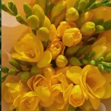 Profile image of 각별