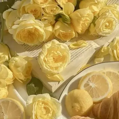 Profile image of 쪼만