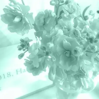 Profile image of 예엥